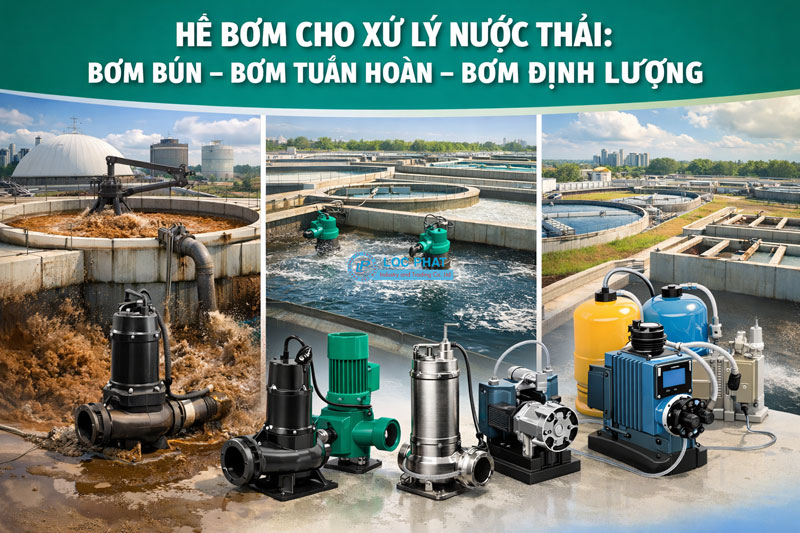 Hệ bơm cho xử lý nước thải: bơm bùn, bơm tuần hoàn, bơm định lượng