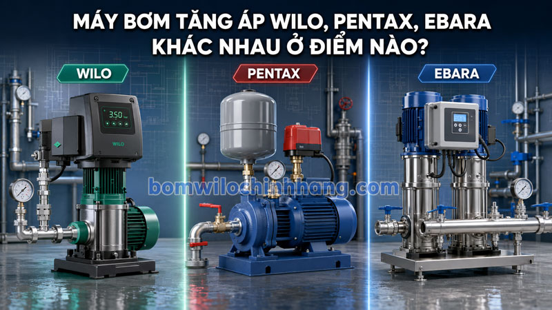 Máy bơm tăng áp Wilo, Pentax, Ebara khác nhau ở điểm nào?